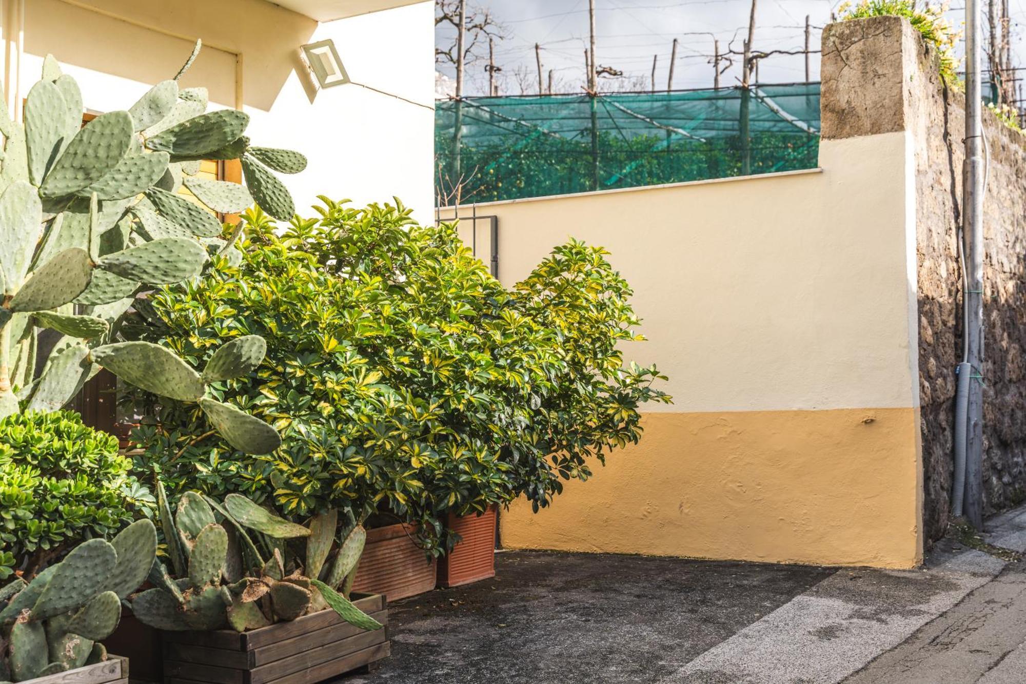 Sorrento Central Flat Eksteriør billede